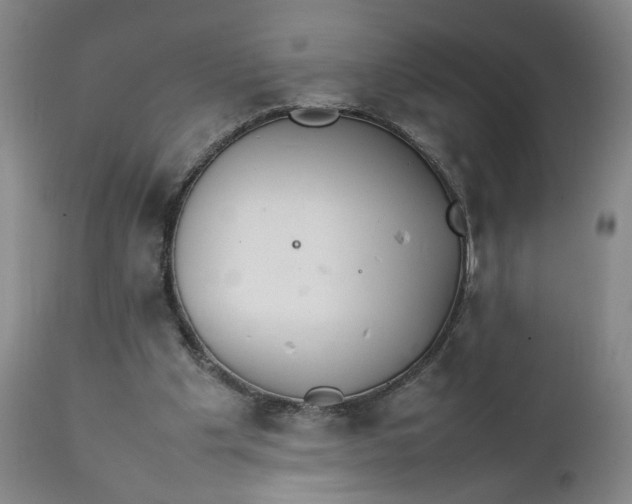 X0000111230201200907161325