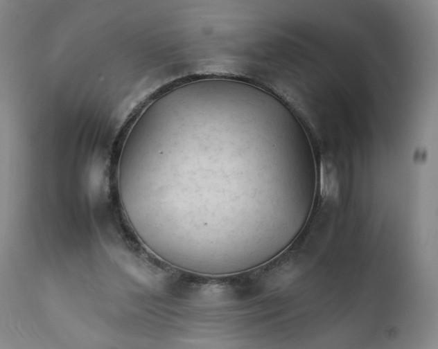 X0000111230204200907161324