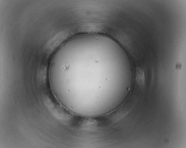 X0000111230206200907161324