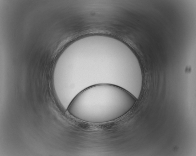 X0000111230207200907161324