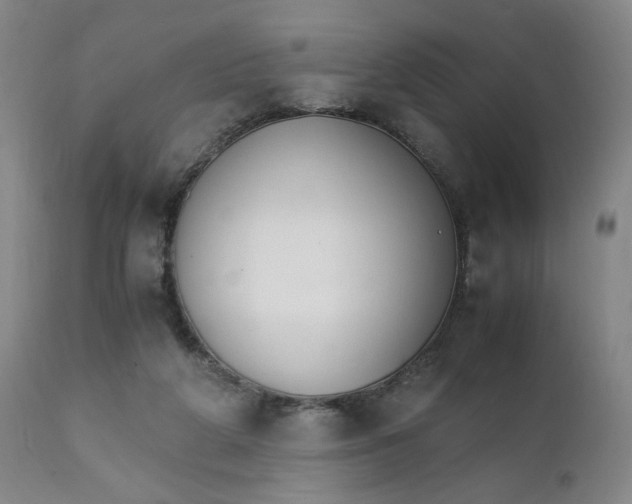 X0000111230210200907161324