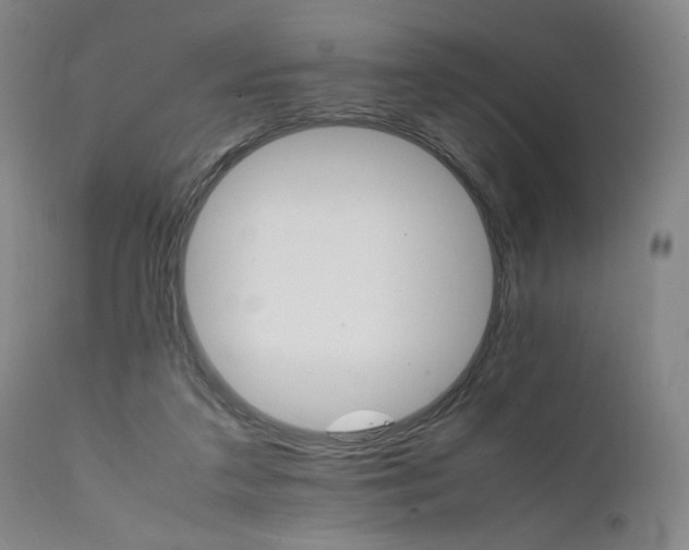 X0000111230211200907161324