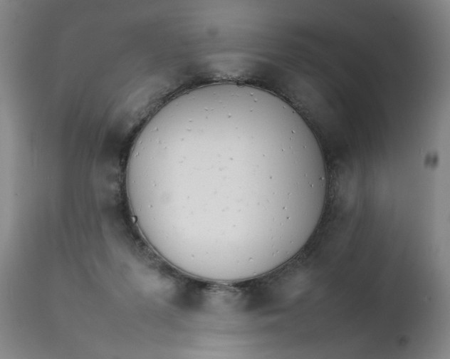 X0000111230215200907161324