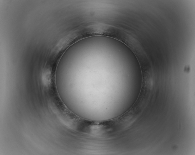 X0000111230216200907161324