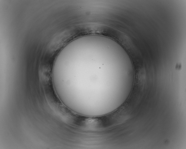 X0000111230218200907161324