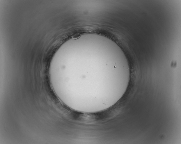 X0000111230221200907161324