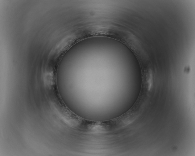 X0000111230224200907161324