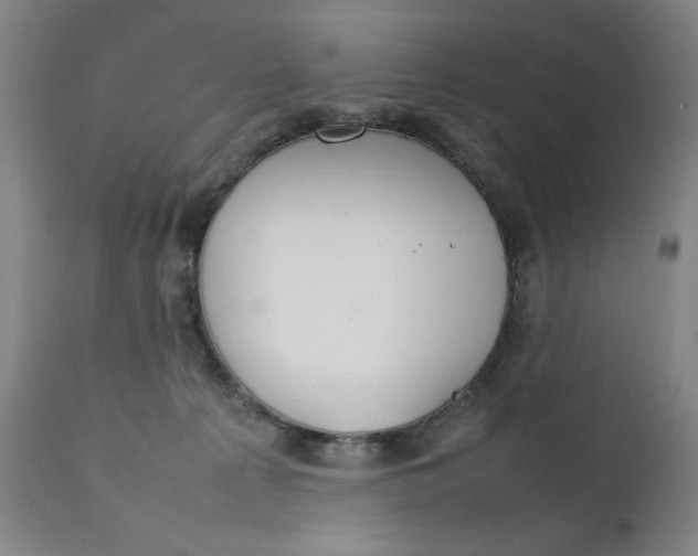 X0000111230225200907161324