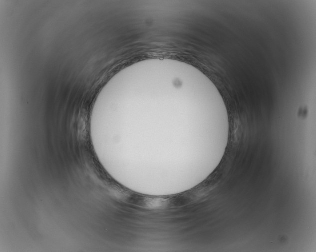 X0000111230226200907161324