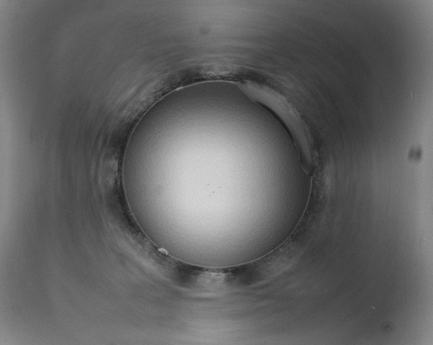 X0000111230227200907161324