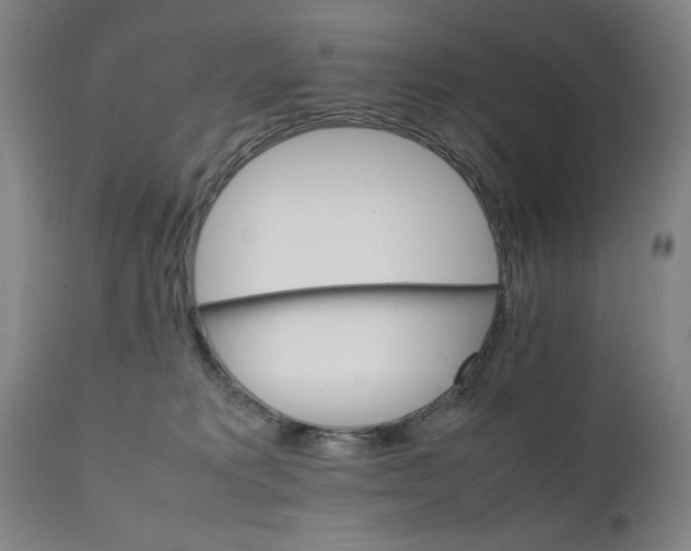 X0000111230229200907161324