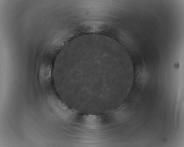 X0000111230230200907161324