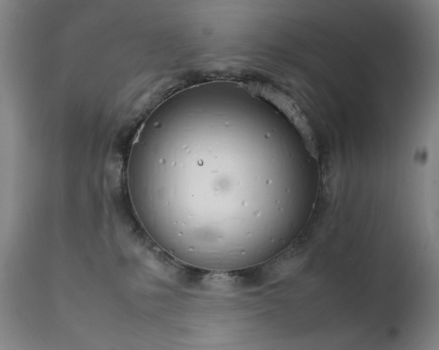 X0000111230231200907161324
