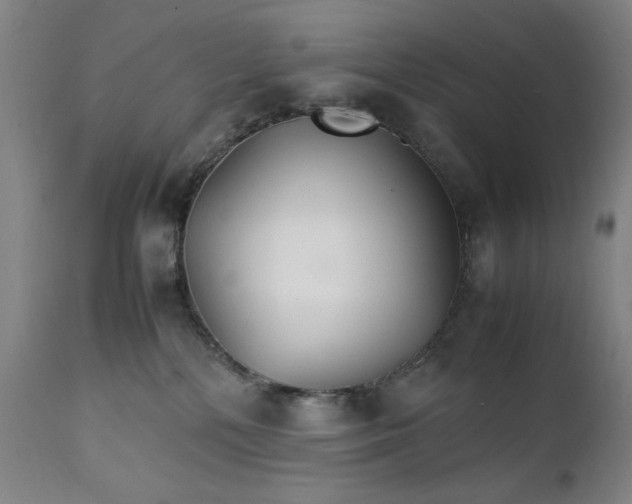 X0000111230232200907161324