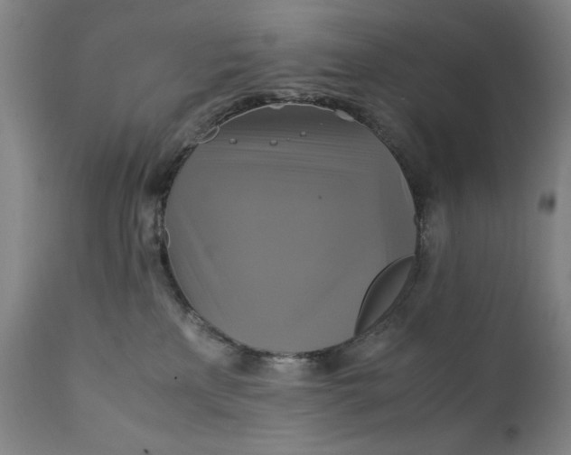X0000111230233200907161324