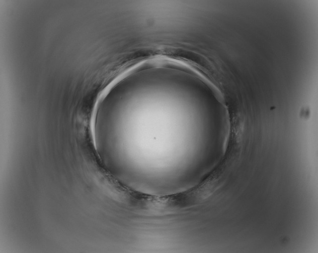X0000111230235200907161324
