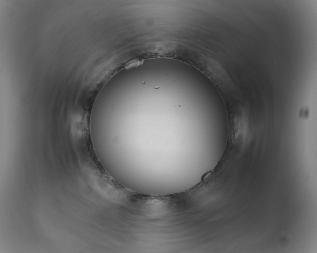 X0000111230236200907161324