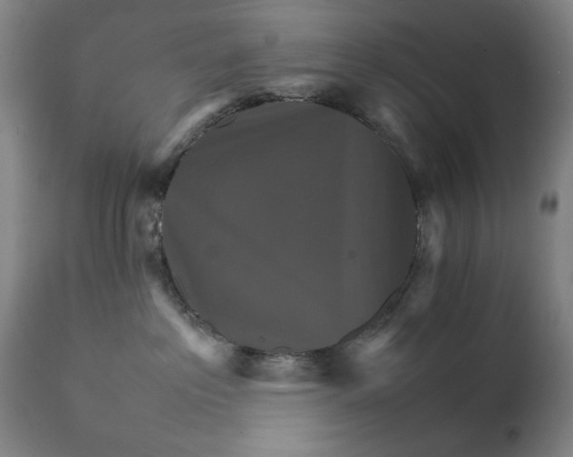 X0000111230237200907161324