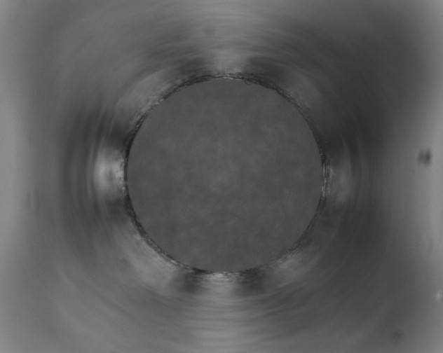 X0000111230238200907161324