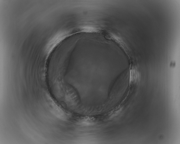 X0000111230243200907161323