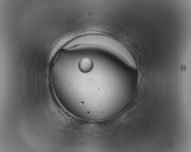 X0000111230244200907161323