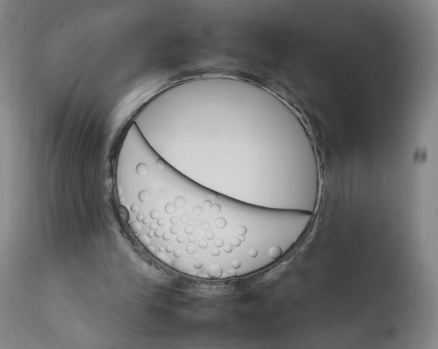X0000111230245200907161323