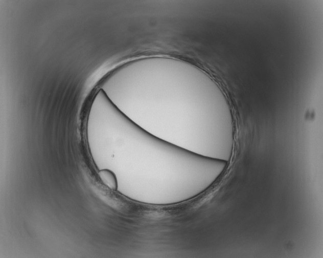 X0000111230246200907161323