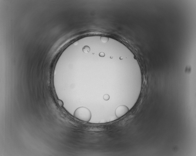 X0000111230247200907161323