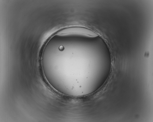 X0000111230248200907161323