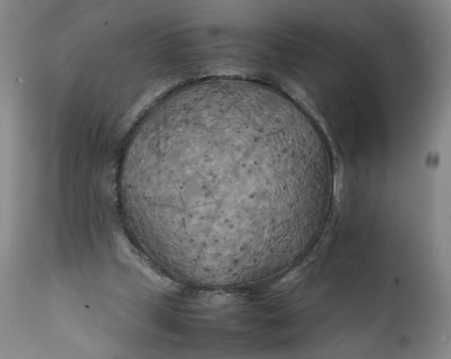 X0000111230249200907161323
