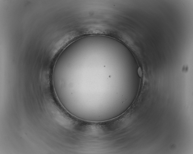 X0000111230250200907161323