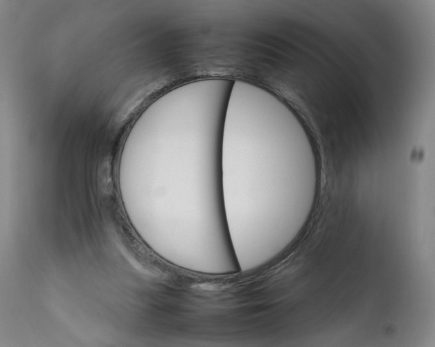 X0000111230251200907161323