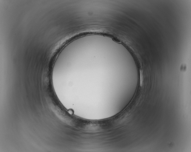 X0000111230252200907161323
