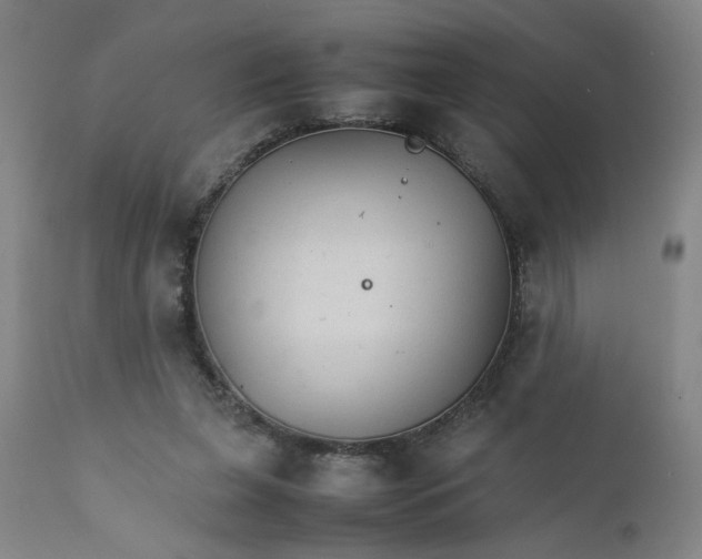 X0000111230255200907161324