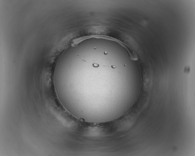 X0000111230259200907161324
