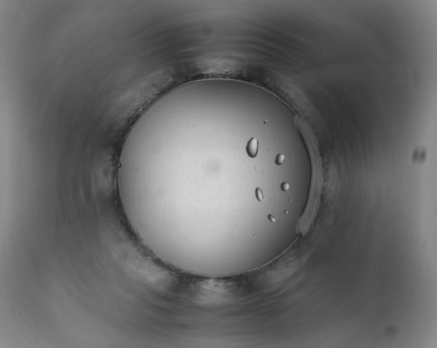 X0000111230261200907161324