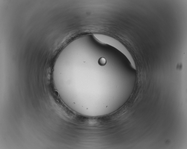 X0000111230264200907161324