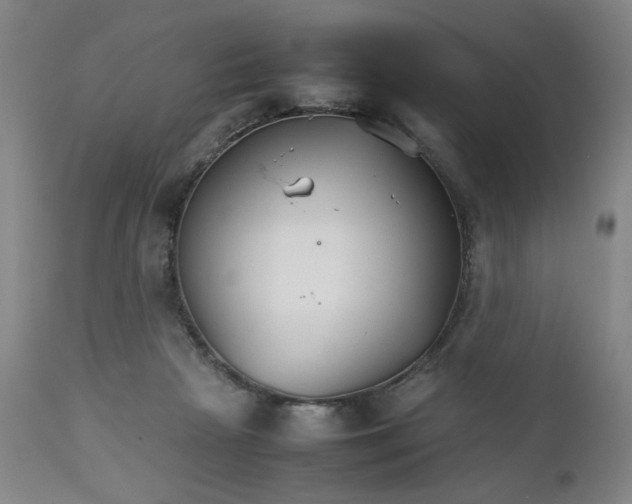 X0000111230265200907161324