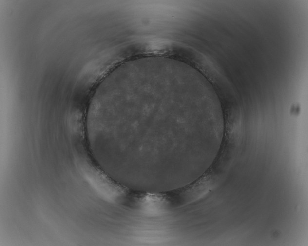 X0000111230270200907161324