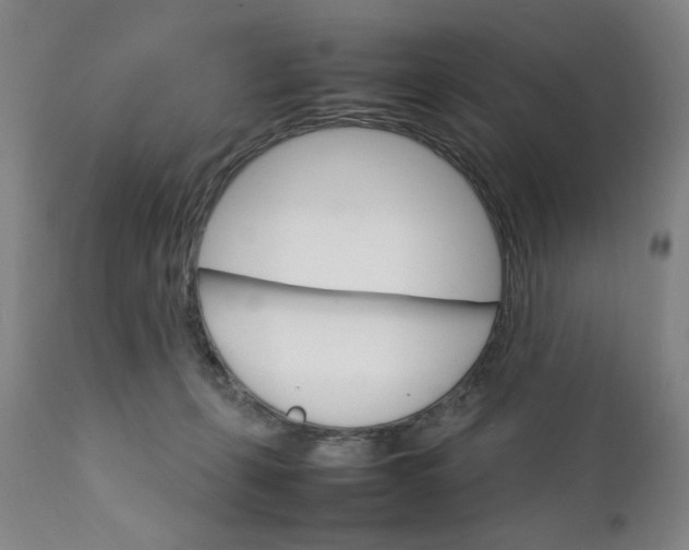 X0000111230271200907161324