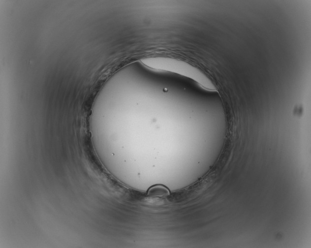 X0000111230272200907161324