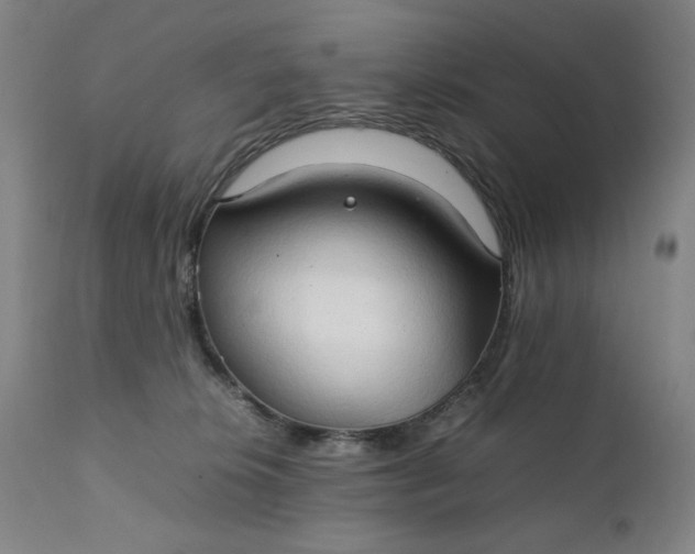 X0000111230276200907161324