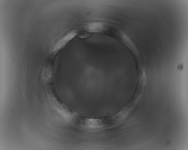 X0000111230277200907161324