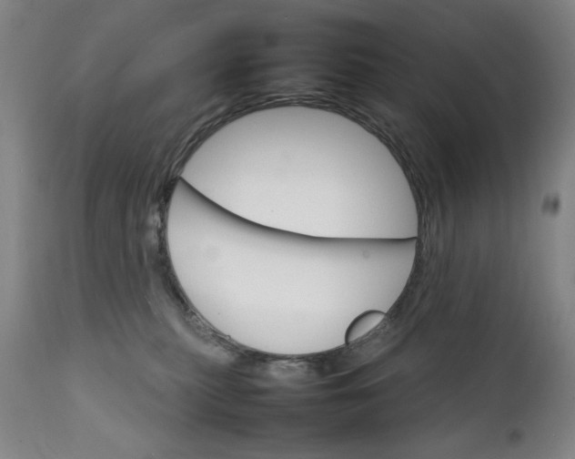 X0000111230279200907161324
