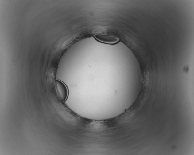 X0000111230280200907161324
