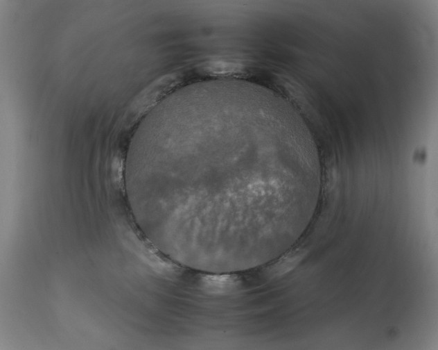 X0000111230281200907161324