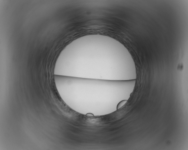 X0000111230283200907161324