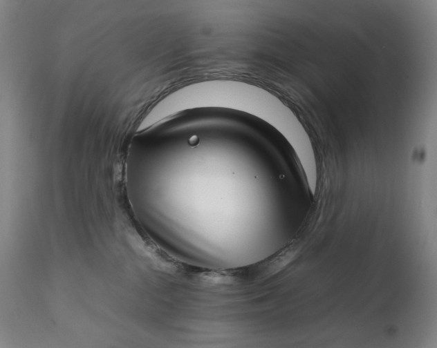 X0000111230284200907161324