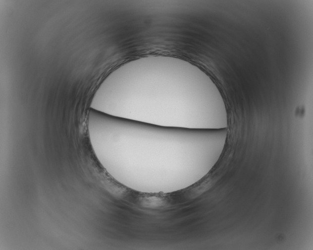 X0000111230285200907161324