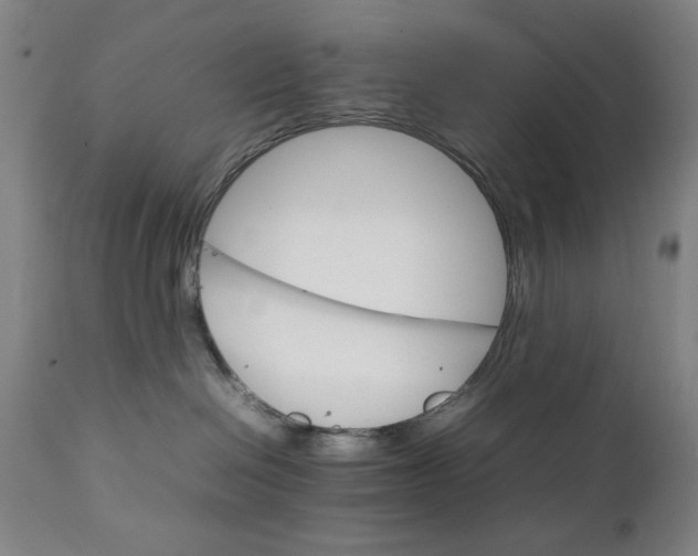 X0000111230286200907161324